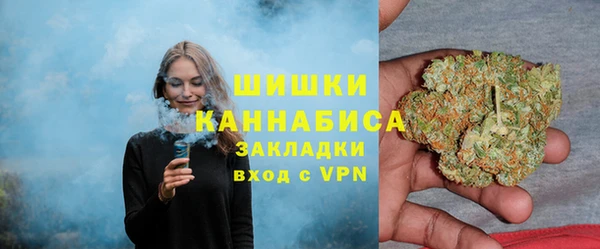 хмурый Корсаков