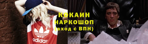хмурый Корсаков