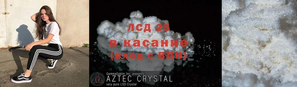 хмурый Корсаков