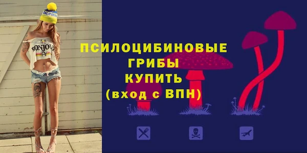 первитин Коряжма