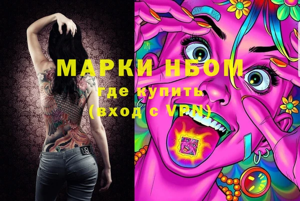 хмурый Корсаков